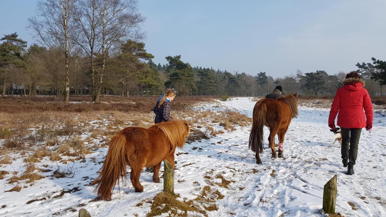 Chalet Op De Veluwe # Berk Villa Putten Buitenkant foto