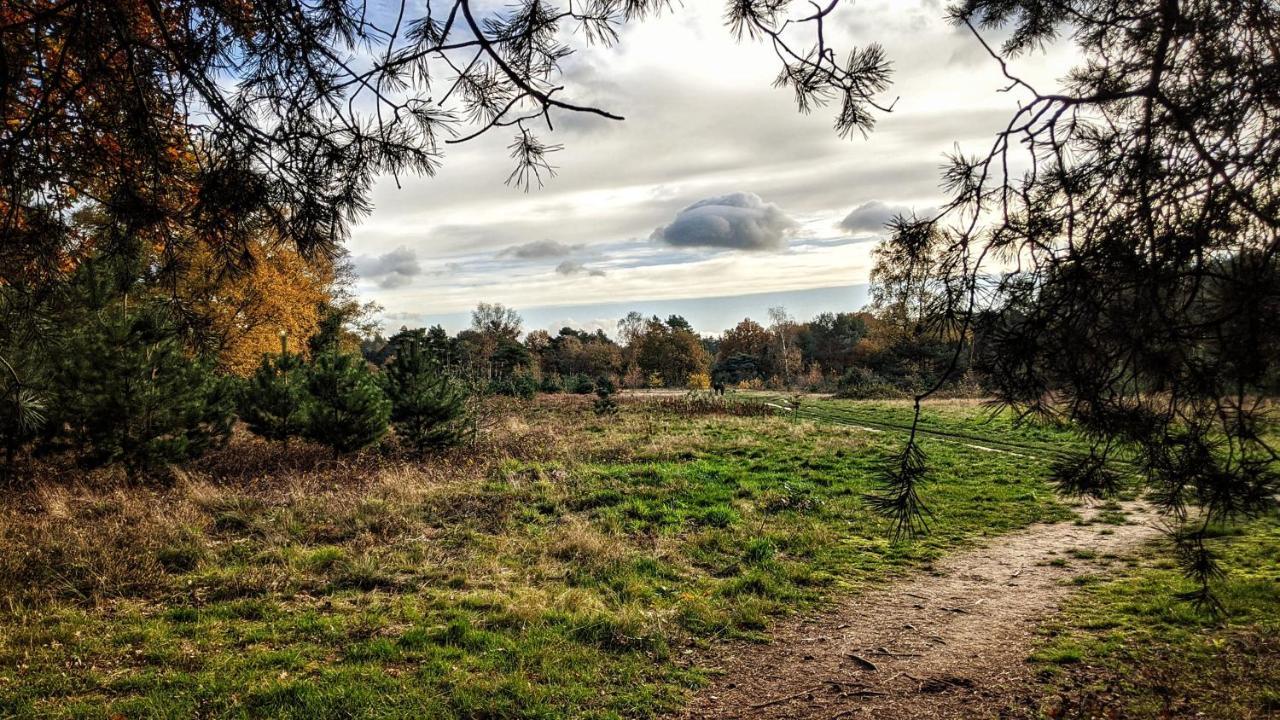 Chalet Op De Veluwe # Berk Villa Putten Buitenkant foto