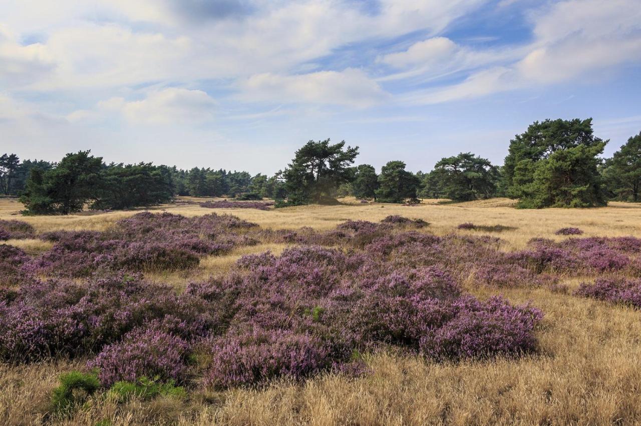 Chalet Op De Veluwe # Berk Villa Putten Buitenkant foto