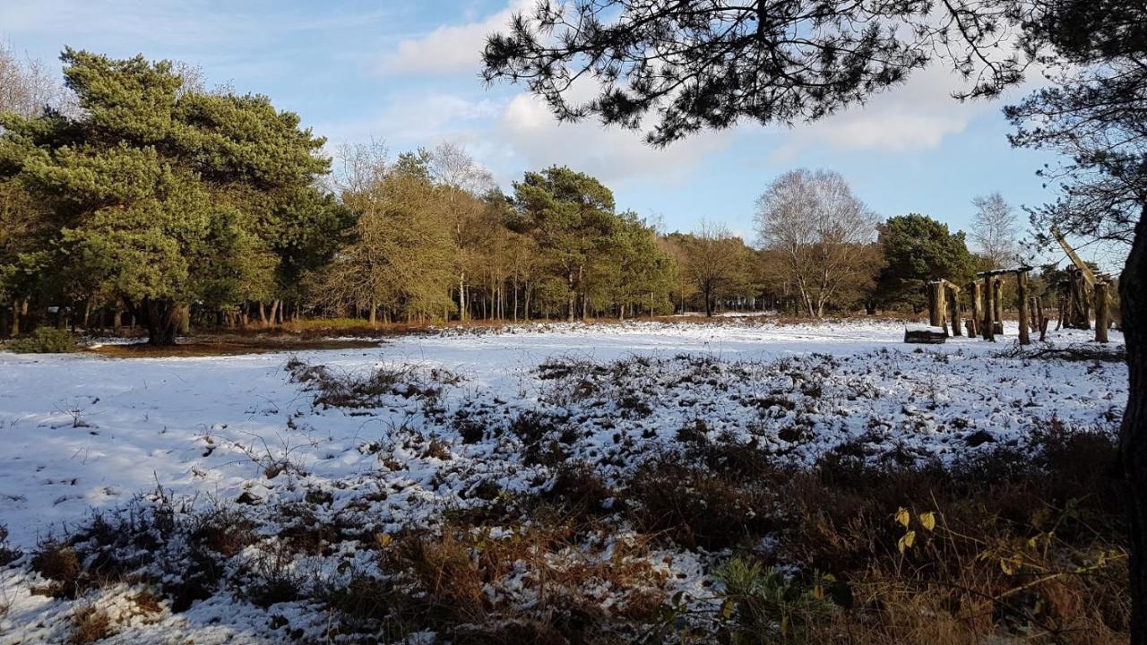 Chalet Op De Veluwe # Berk Villa Putten Buitenkant foto