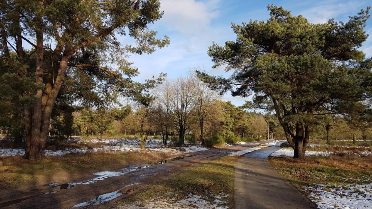 Chalet Op De Veluwe # Berk Villa Putten Buitenkant foto